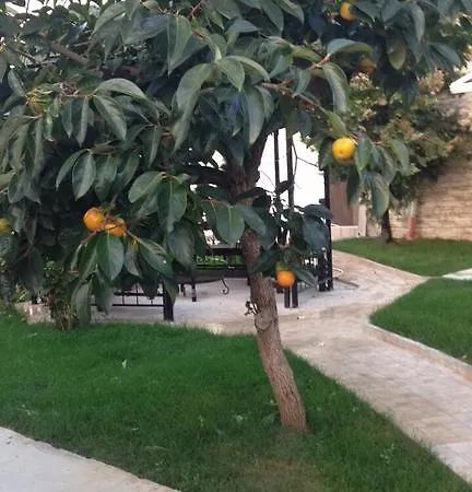 Jurnalist Apartmán *